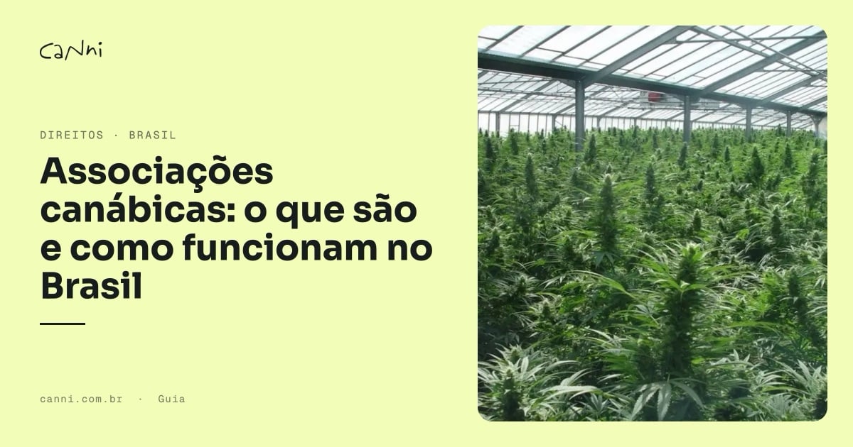Capa do artigo: Associações canábicas: o que são e como funcionam no Brasil