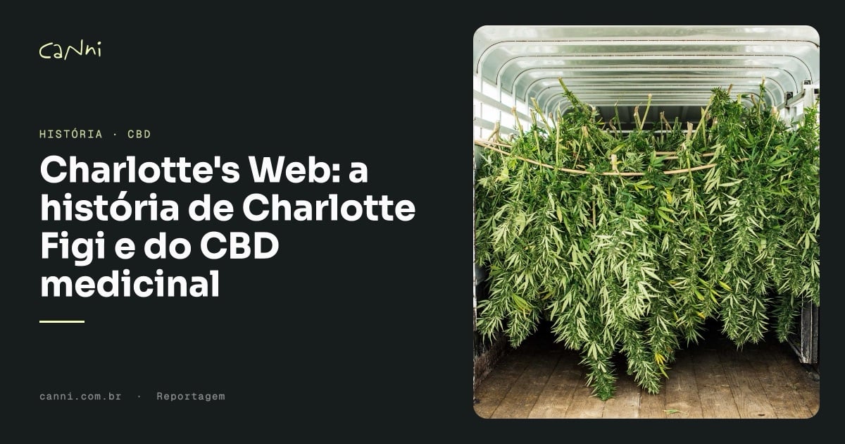 Capa do artigo: Charlotte's Web: a História de Charlotte Figi e do CBD Medicinal