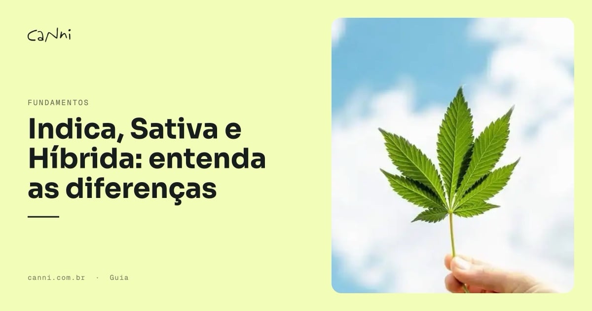 Capa do artigo: Indica, Sativa e Híbrida: entenda as diferenças