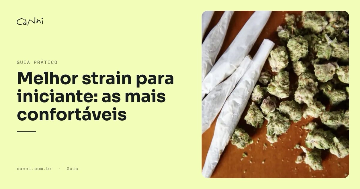 Capa do artigo: Melhor strain para iniciante: as mais confortáveis