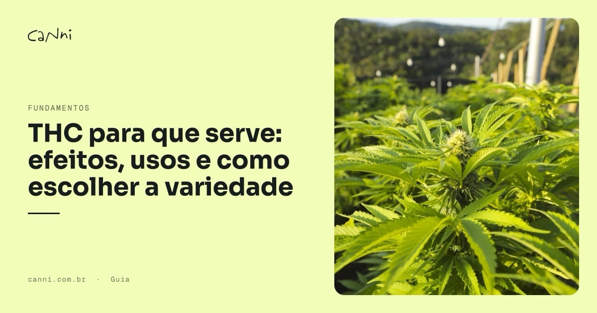 Capa do artigo: THC para que serve: efeitos, usos e como escolher a variedade