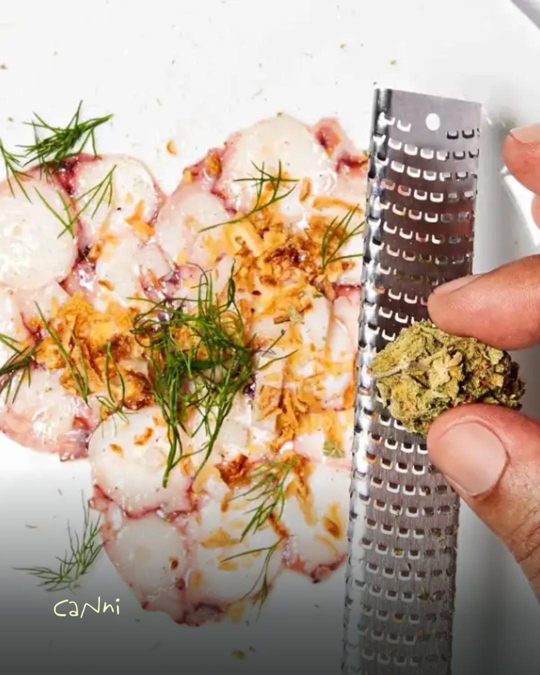 Capa do artigo: Melhores Strains para Cozinhar e Comer