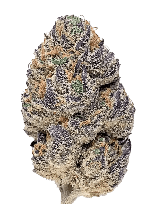 Flor da strain Acai Berry Gelato