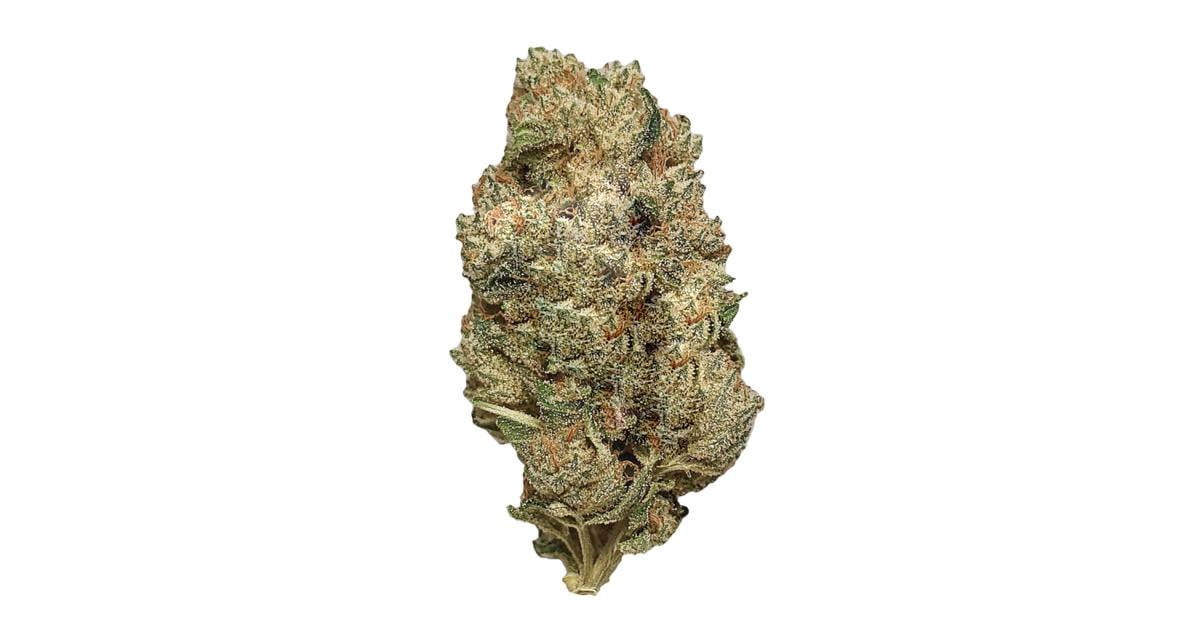 Flor da strain ACDC