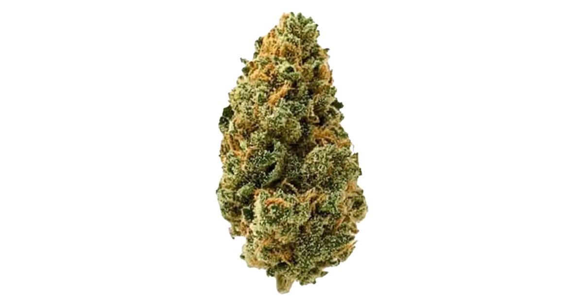 Flor da strain Big Bud