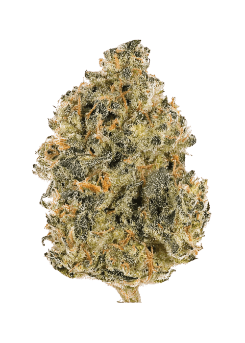 Flor da strain Blue Cherry Gelato