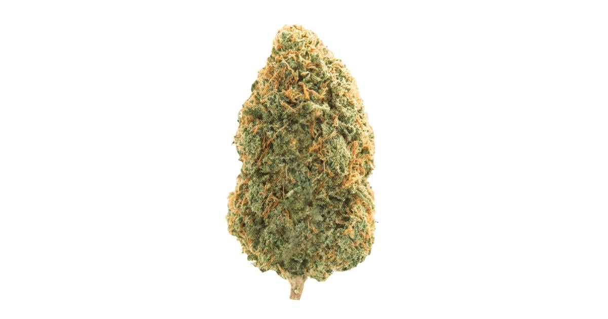 Flor da strain Blue Dream