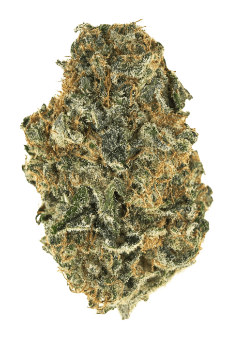 Flor da strain Bruce Banner #3