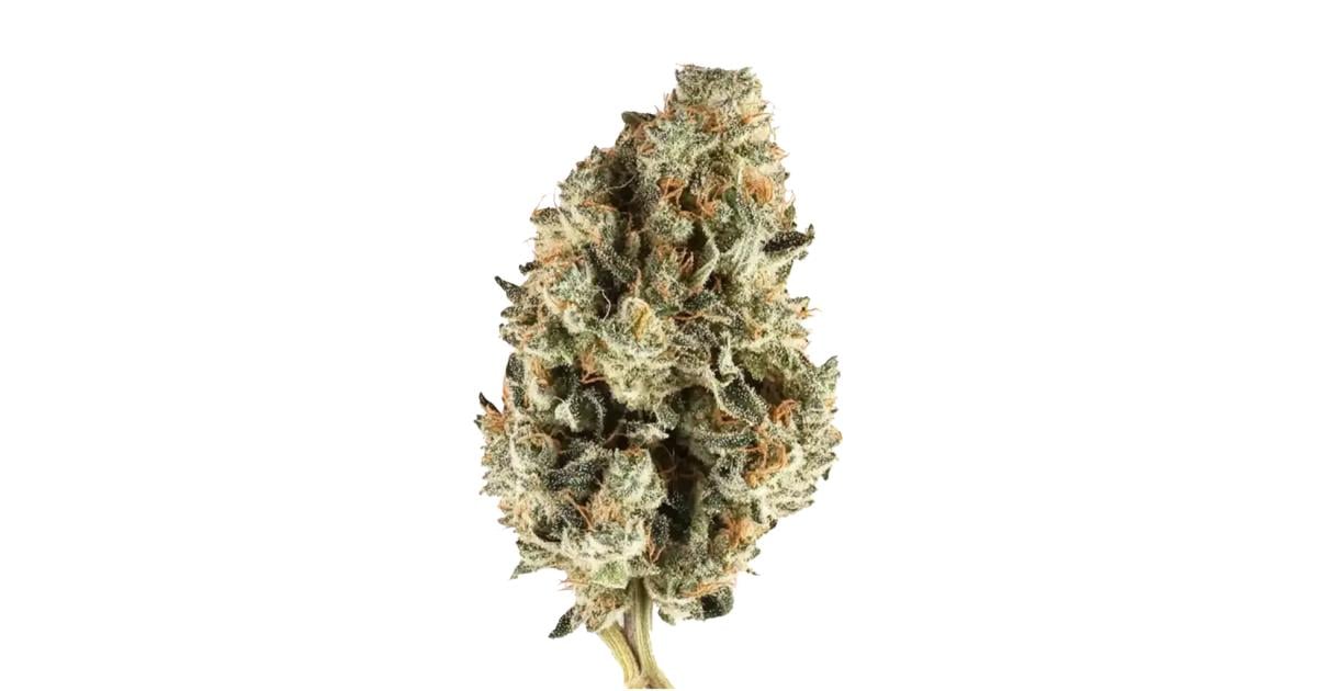 Flor da strain Cherry Pie