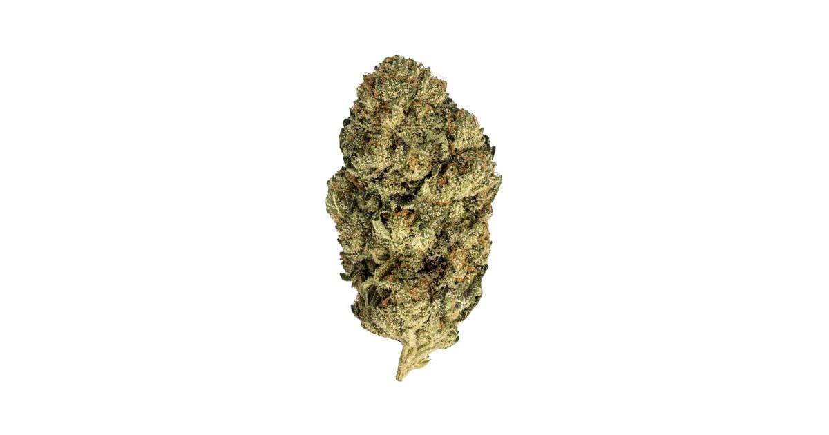 Flor da strain Critical Kush