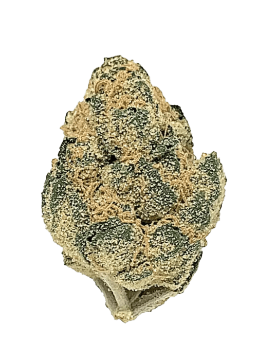 Flor da strain Critical Mass