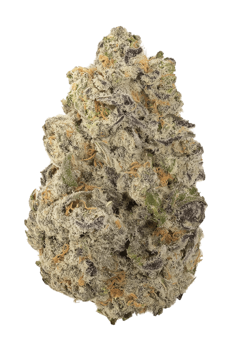 Flor da strain Frosted Gelato – Atlas Seed