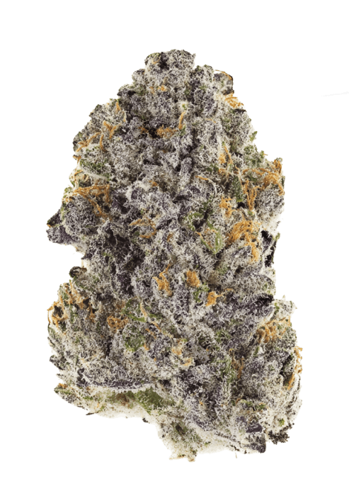 Flor da strain Frosted Gelato