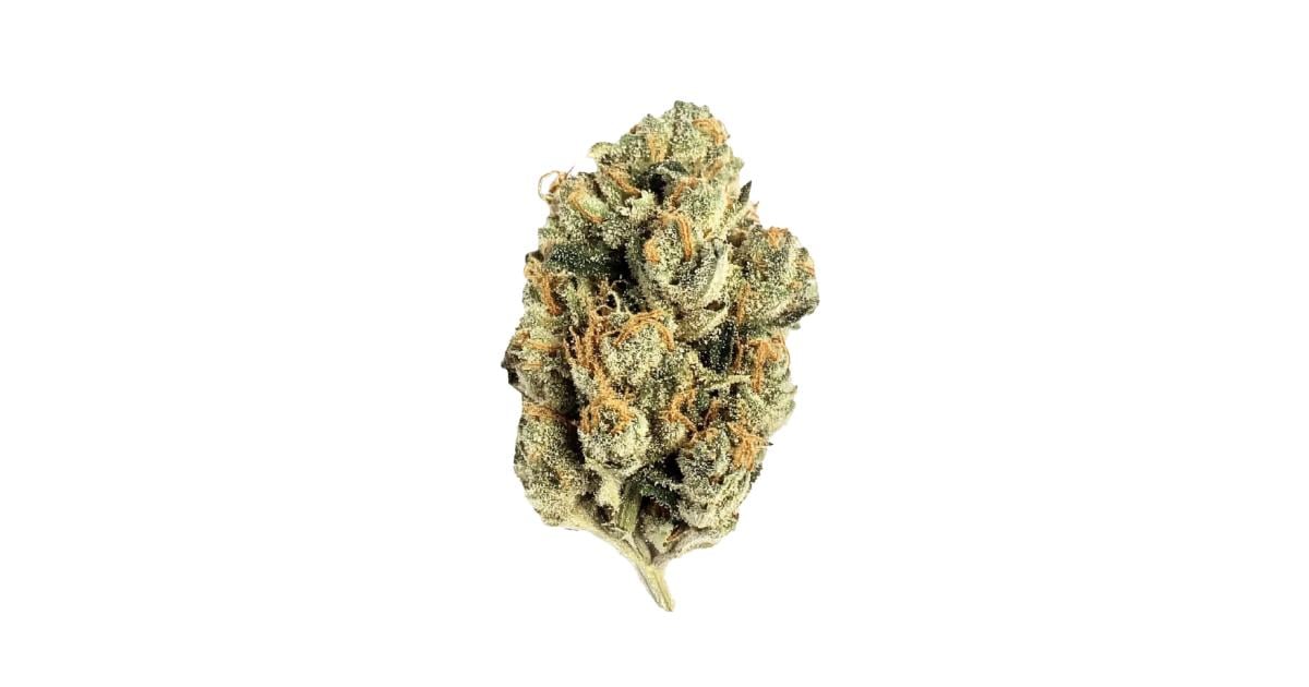 Flor da strain G13