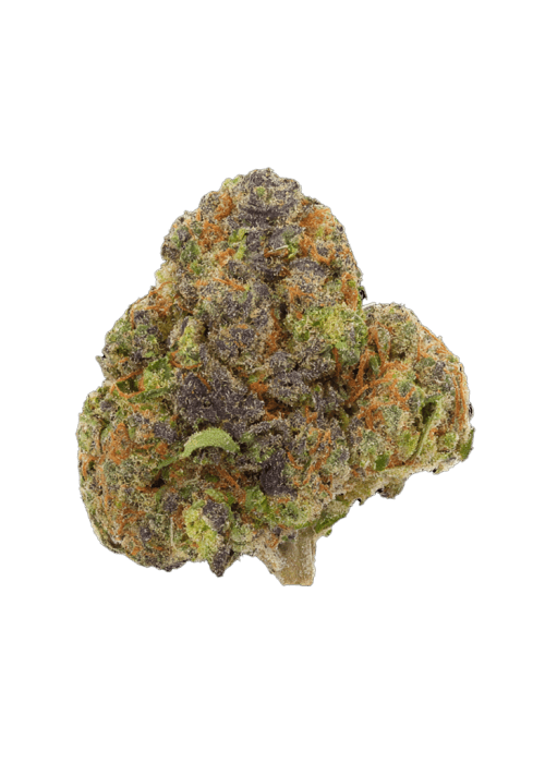 Flor da strain Gelato 41 x Coffin Candy