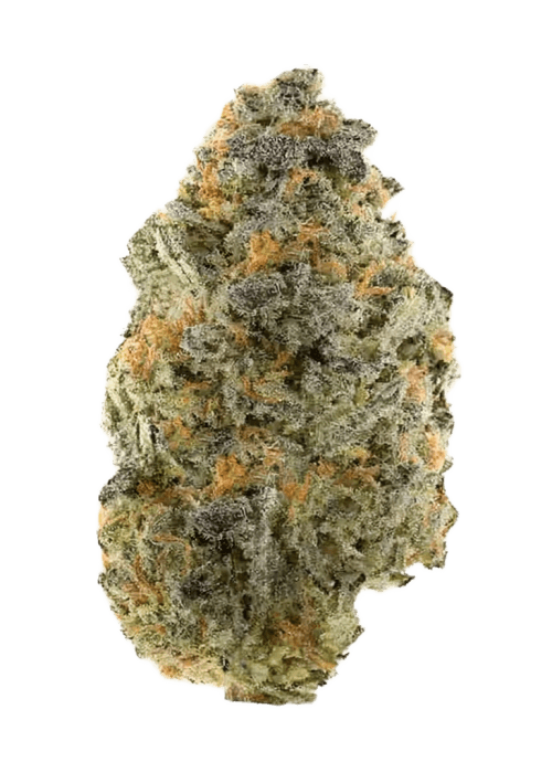 Flor da strain Gelato #420