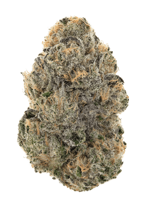 Flor da strain Gelato 44
