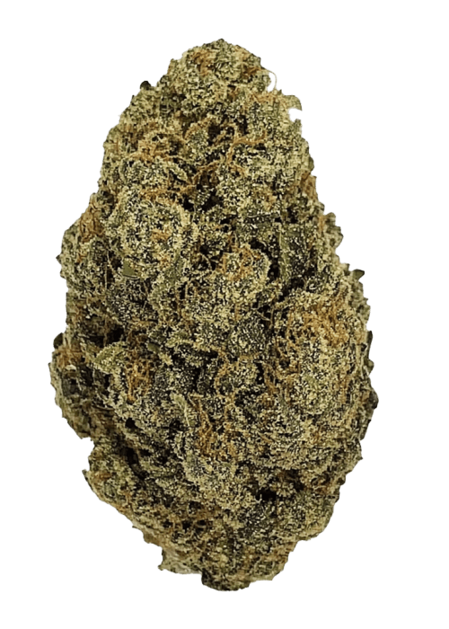 Flor da strain Gelato 45