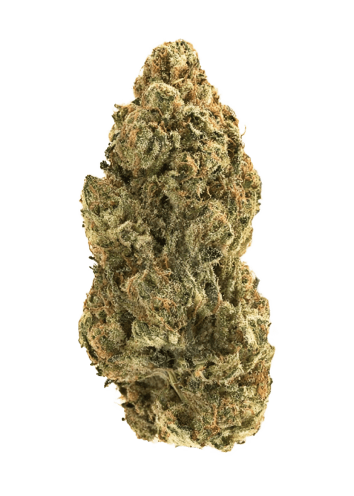 Flor da strain Gelato Dream