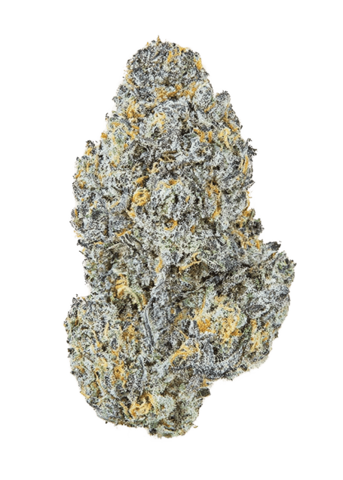 Flor da strain Gelato Mints