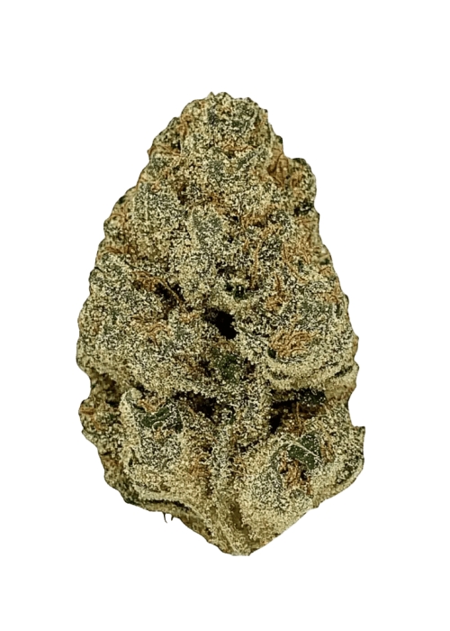 Flor da strain Gelato Runtz