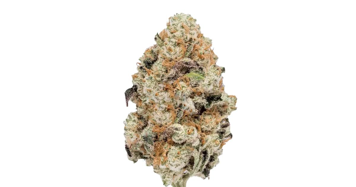 Flor da strain Ghost OG