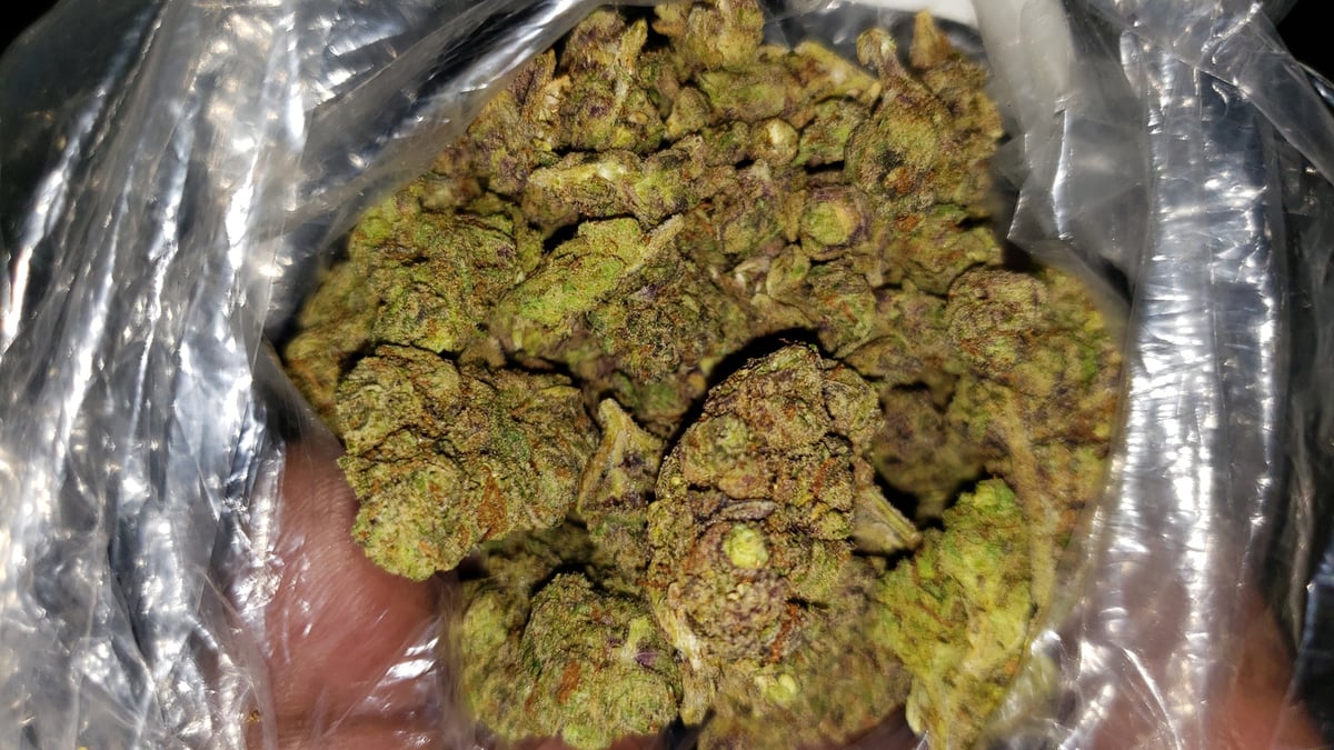Flor da strain Gruntz