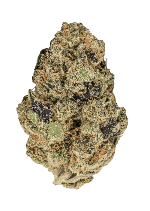 Flor da strain Guava Gelato