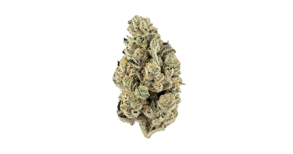 Flor da strain Harlequin
