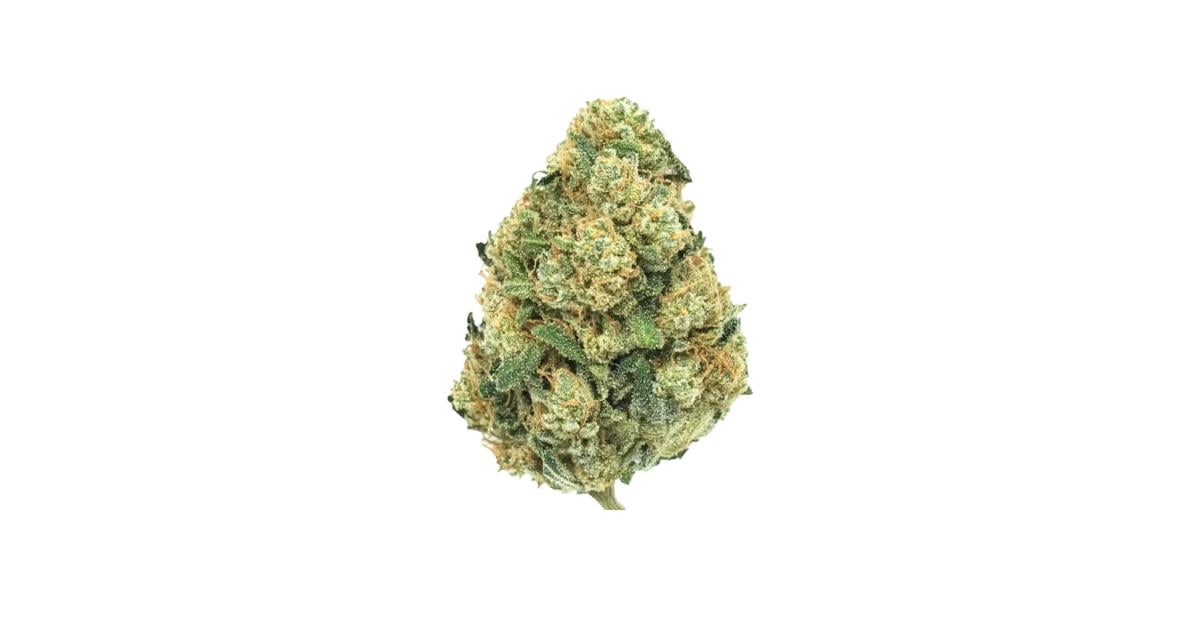 Flor da strain Hash Plant
