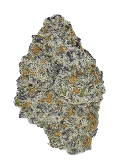 Flor da strain Ice Cream Gelato