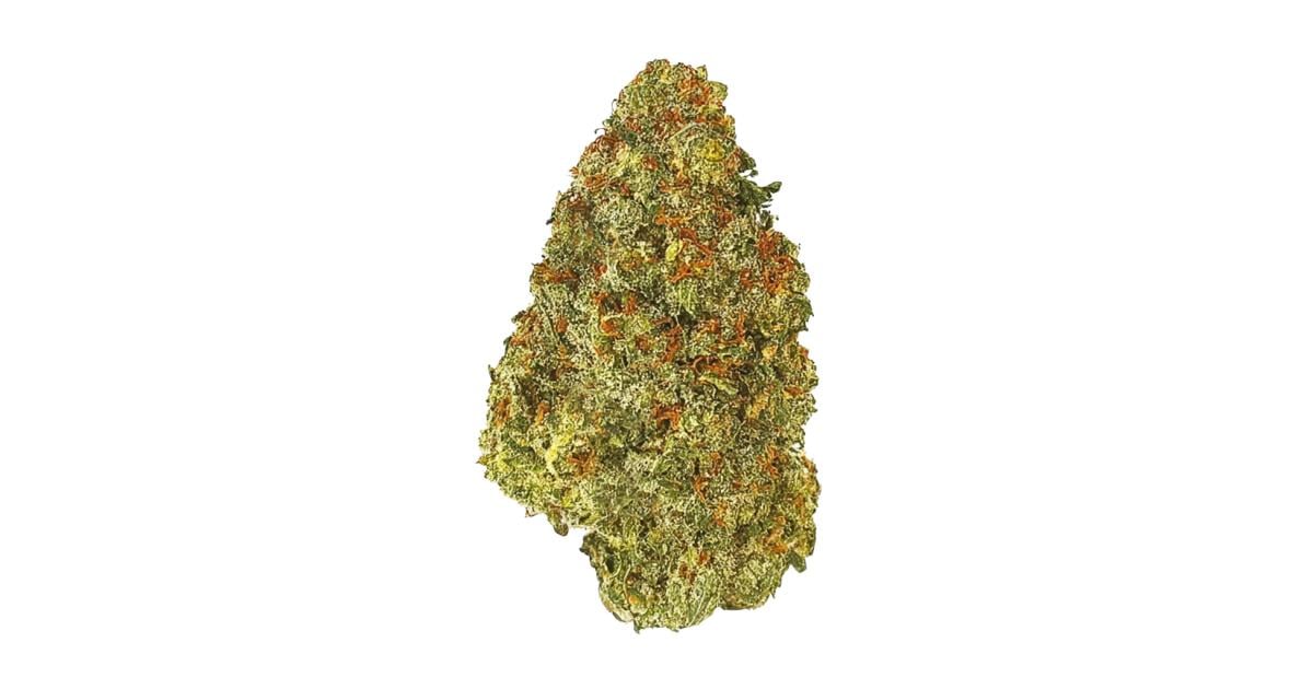 Flor da strain Jack Herer