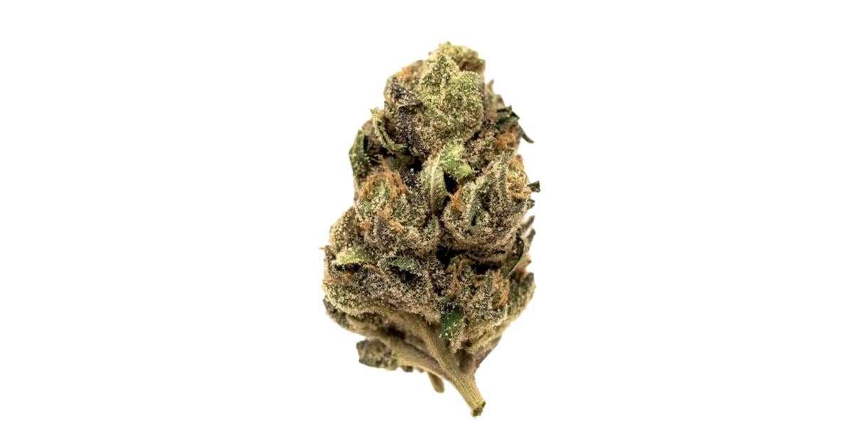 Flor da strain King Louis OG