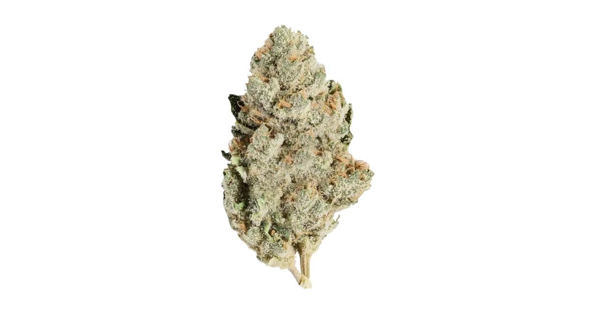 Flor da strain Kosher Kush