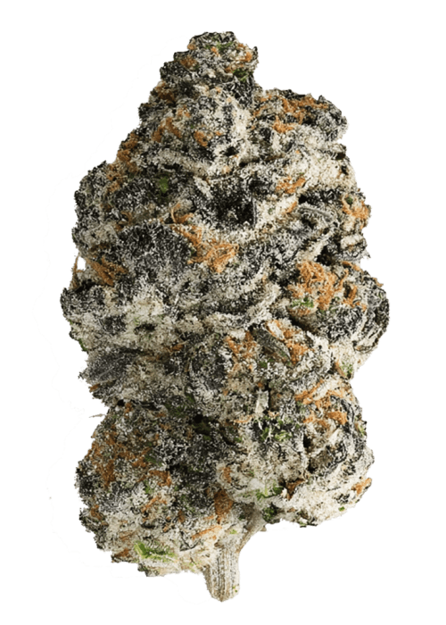 Flor da strain LA Gelato