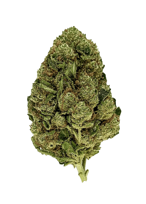 Flor da strain Lemon Cherry Gelato Automatic