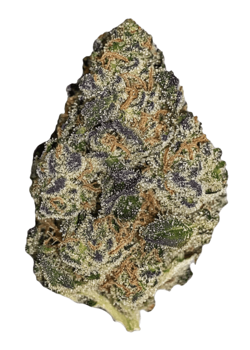 Flor da strain Lemon Gelato
