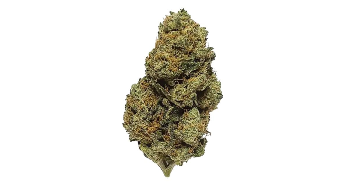 Flor da strain Lemon Haze