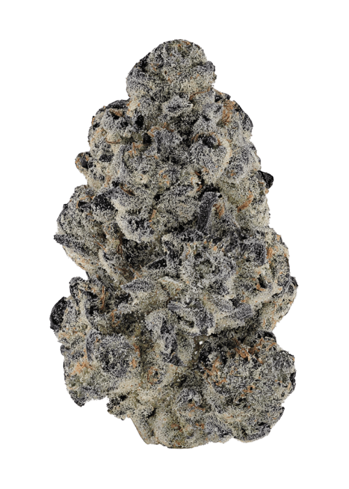 Flor da strain Lemon Orange