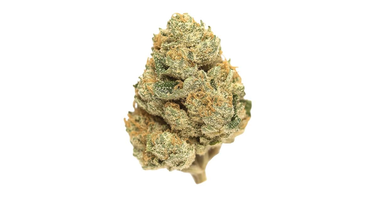 Flor da strain Mango Kush