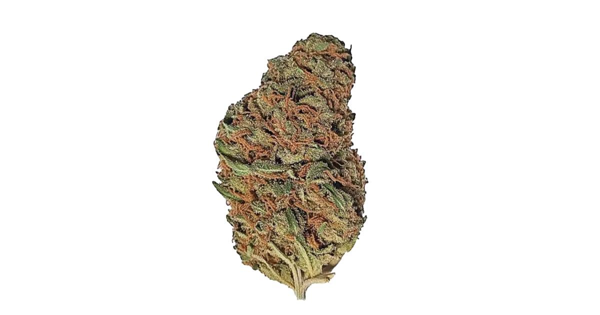 Flor da strain Maui Wowie