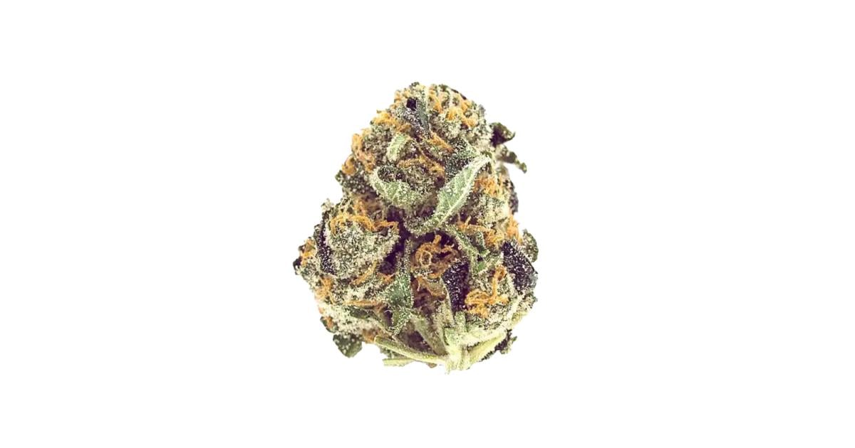 Flor da strain Mimosa