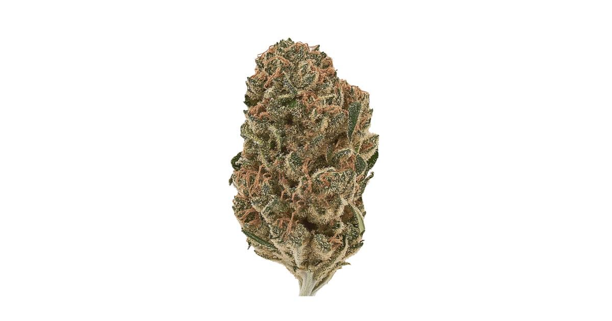 Flor da strain Moby Dick