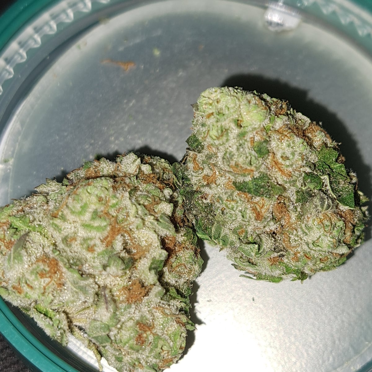 Flor da strain Modified Grapes