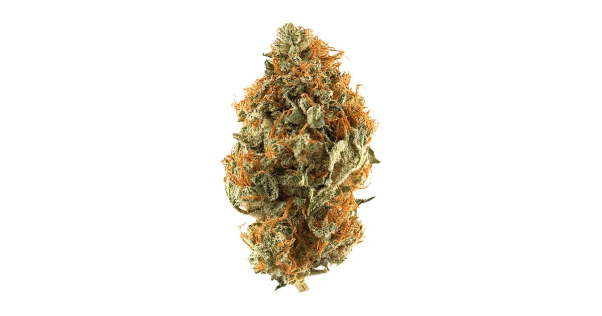 Flor da strain Orange Bud