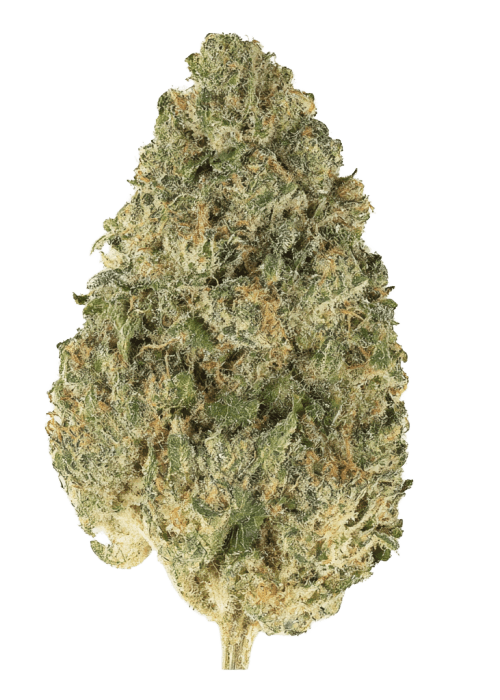 Flor da strain Peanut Butter Gelato