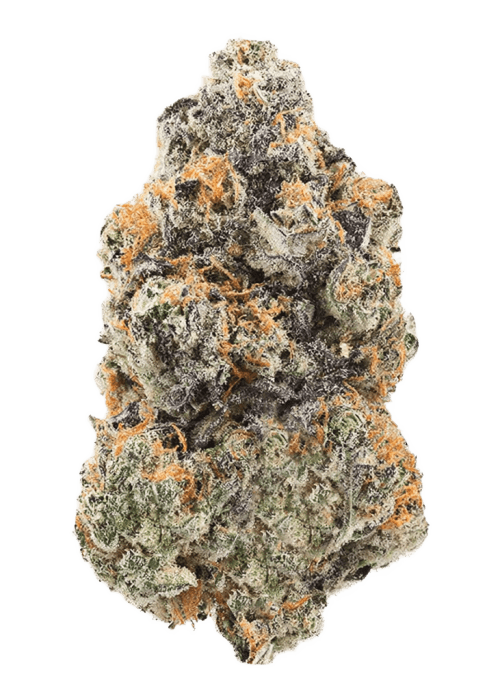 Flor da strain Pink Cherry Gelato