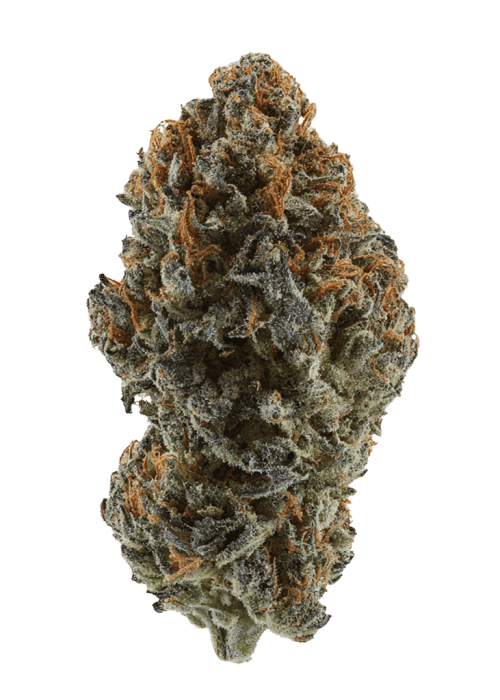 Flor da strain Pink Gelato