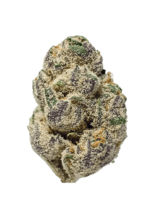 Flor da strain Platinum Lemon Cherry Gelato