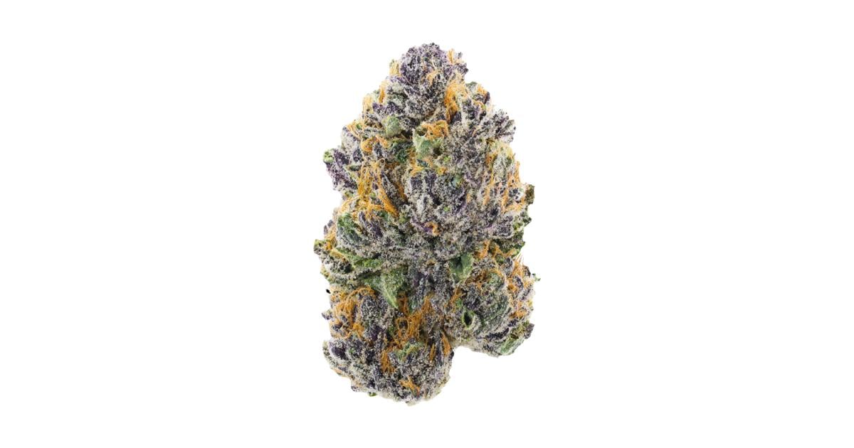 Flor da strain Purple Afghani